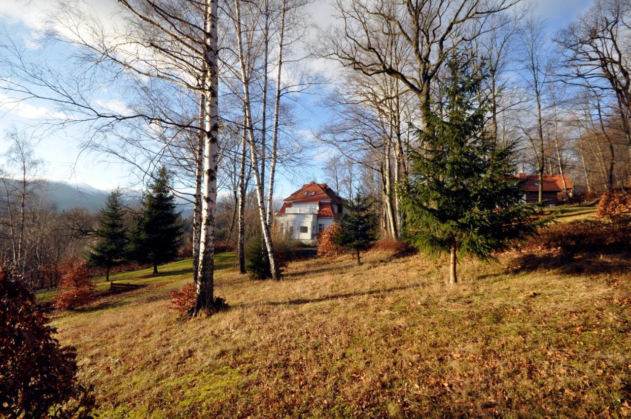 Reszyniec Apartment *