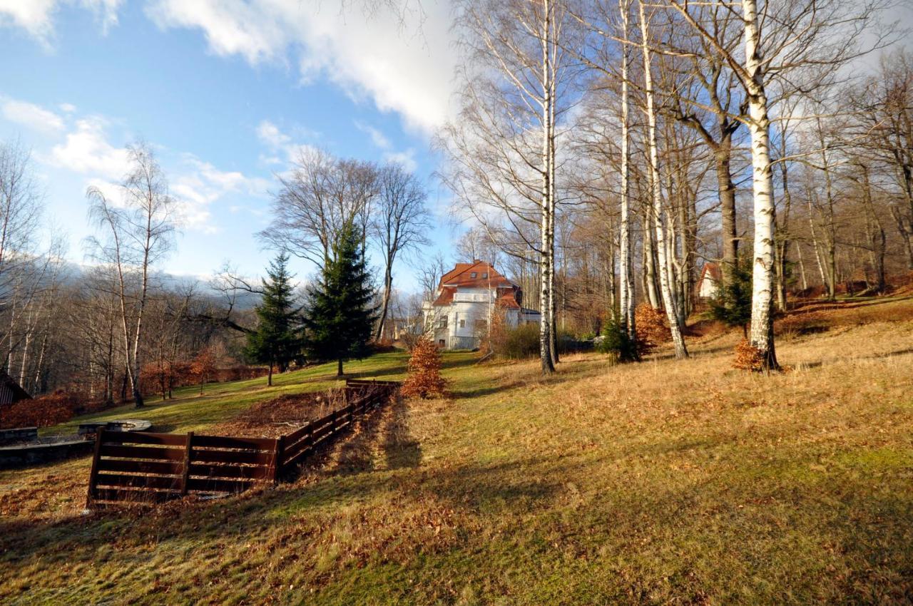Reszyniec Apartment *